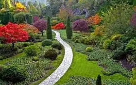 Подведены итоги республиканского дистанционного конкурса ландшафтных проектов "Дизайн сада"