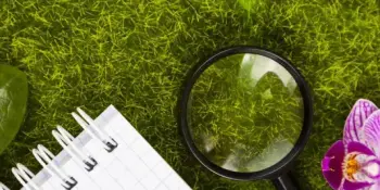 Определены победители заочных номинаций республиканского конкурса опытнических и исследовательских работ "Юный натуралист" 2023 года