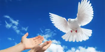 Подведены итоги областного этапа республиканского конкурса "Дорогами мира и созидания"