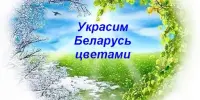 Республиканский конкурс по благоустройству и озеленению территорий "Украсим Беларусь цветами" проводится с марта по октябрь 2024 года.