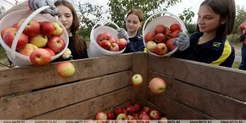 В Министерстве образования утвердили методические рекомендации по трудовому воспитанию школьников