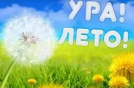 Виртуальная выставка-панорама методического опыта по организации летнего отдыха и оздоровления детей "Рецепты полезных каникул"