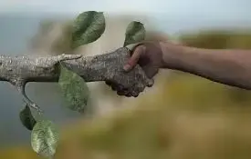 Приглашаем к участию в акции "Дай лесу новае жыцце!"