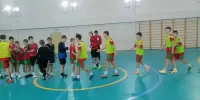 ОБЛАСТНОЕ СПОРТИВНО-МАССОВОЕ МЕРОПРИЯТИЕ "ФЕСТИВАЛЬ ШКОЛЬНОГО СПОРТА": ЗОНАЛЬНЫЕ СОРЕВНОВАНИЯ ПО МИНИ-ФУТБОЛУ