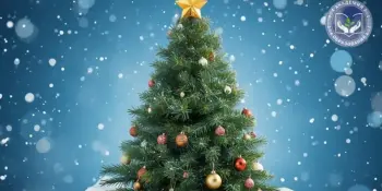 Будущее страны в руках Учителя!